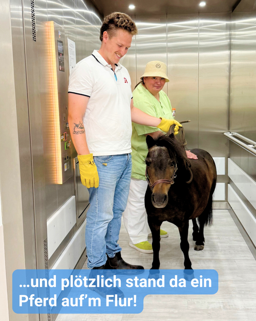 Ein Pony fährt mit zwei Personen im Fahrstuhl. Bildbeschriftung: “… und plötzlich stand da ein Pferd auf’m Flur!”